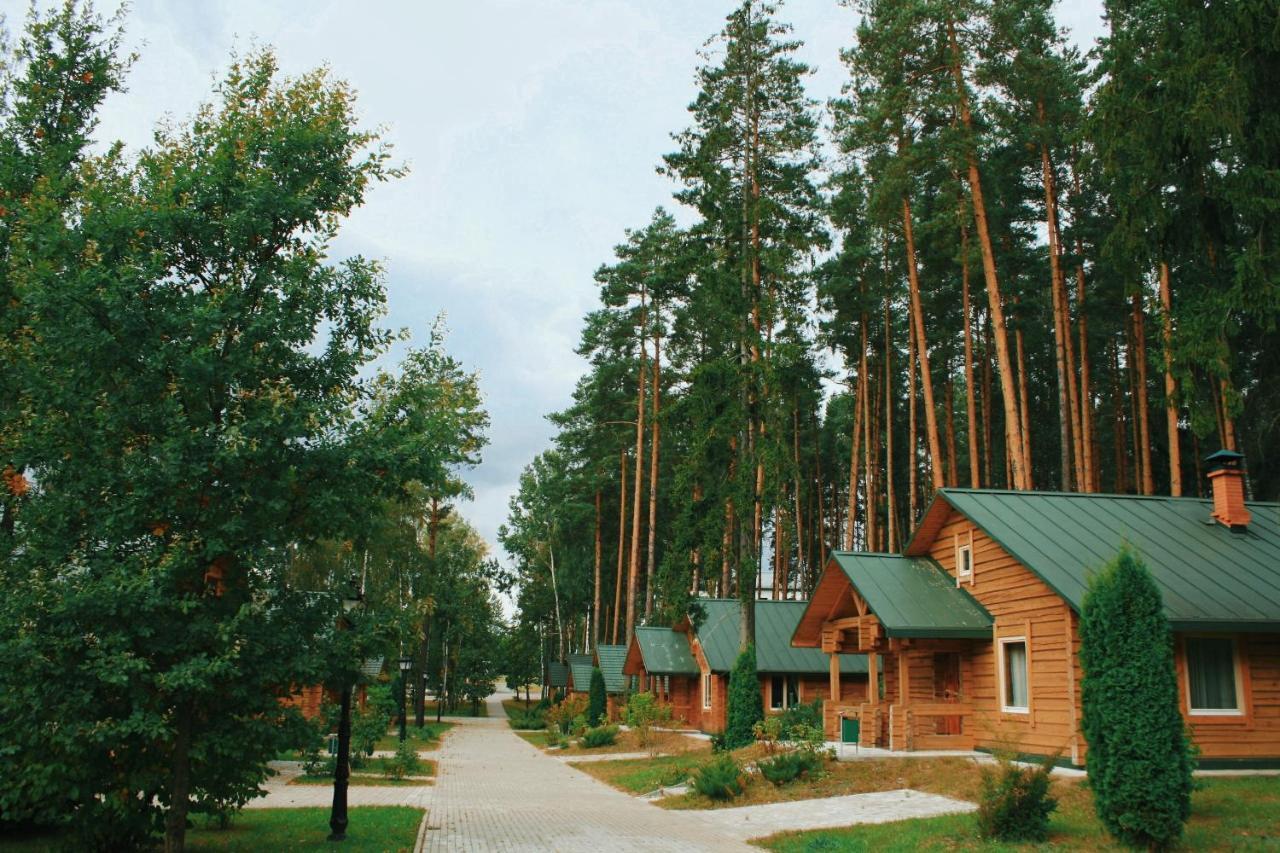 Green Park Hotel Airport Minsk Silichy Eksteriør bilde