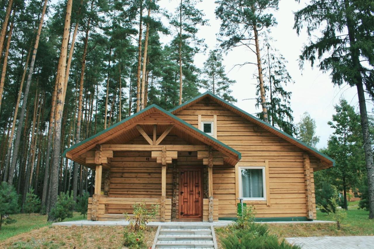 Green Park Hotel Airport Minsk Silichy Eksteriør bilde